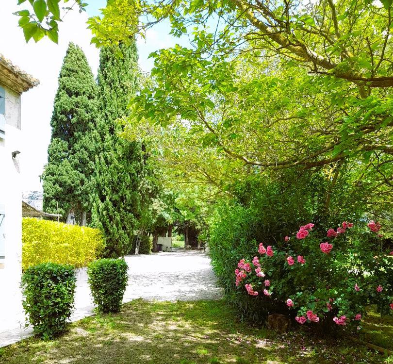 Le Mas Des Vergers Salon-de-Provence Exterior photo